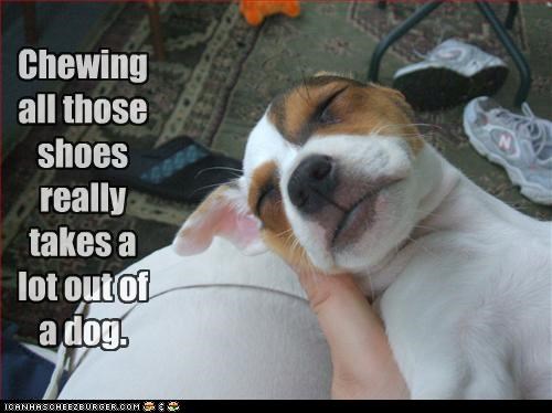 Mmm...shoezzZzz...