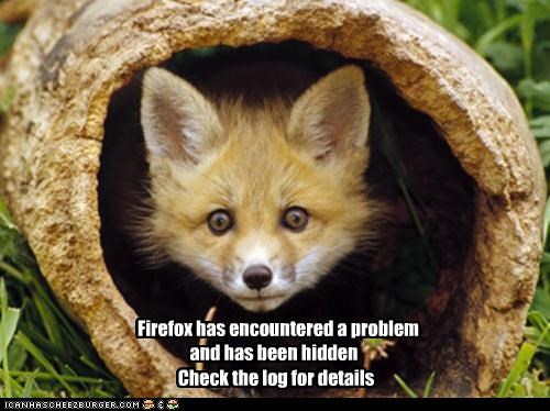 Firefox has encountered a problem