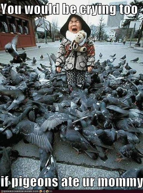 You would be crying too  if pigeons ate ur mommy