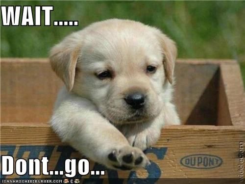 WAIT.....  Dont...go...