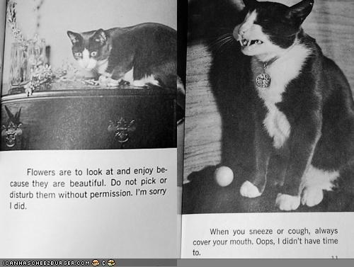 Etti-Cat: Vintage LOLCat