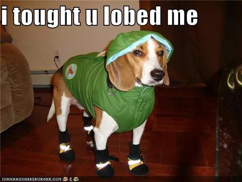 i tought u lobed me