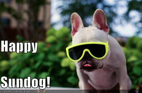 Happy Sundog!