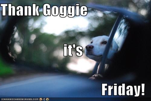 Thank Goggie it's Friday!