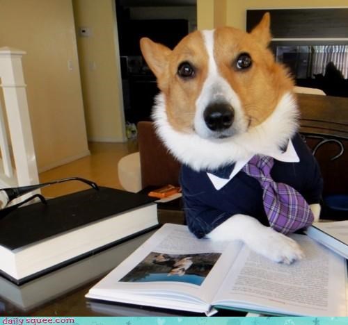 He Earned His Degree at Notre Dawg