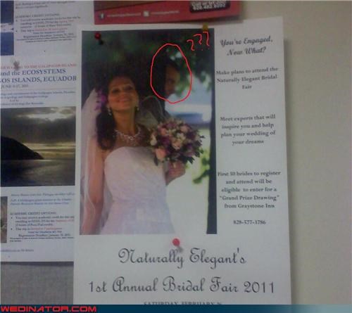 The Bridal Fair Creeper