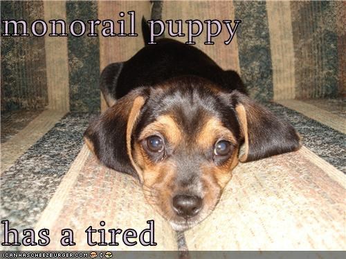 monorail puppy  has a tired