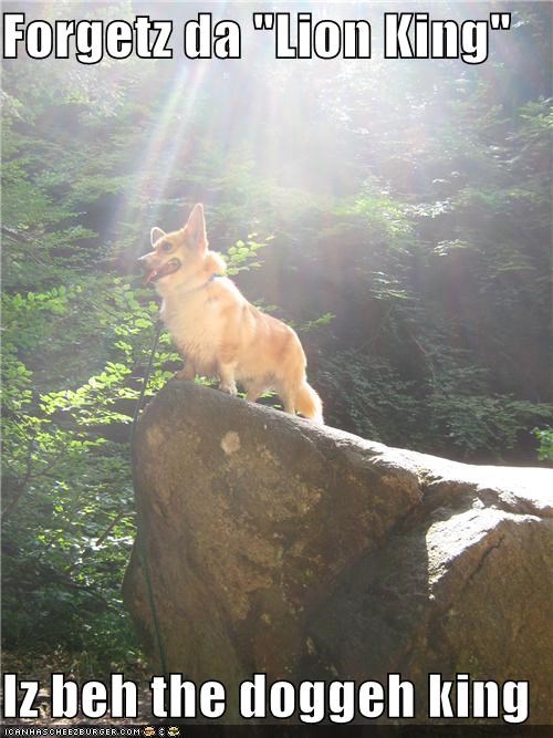 Forgetz da "Lion King"  Iz beh the doggeh king