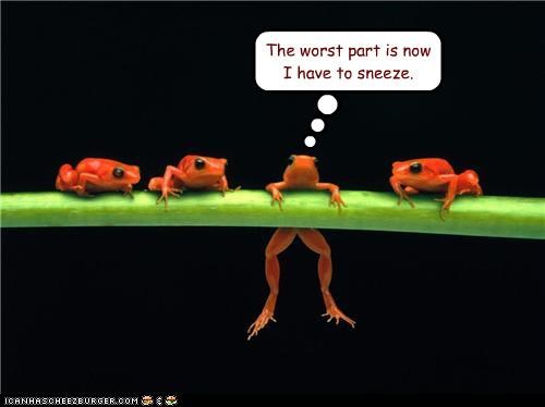 The worst part is now I have to sneeze.