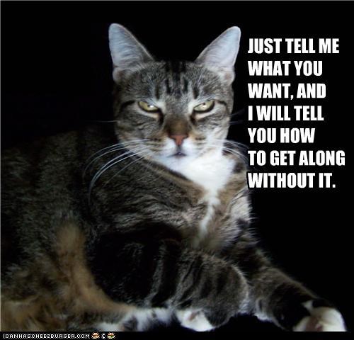 JUST TELL ME WHAT YOU WANT, AND  I WILL TELL YOU HOW  TO GET ALONG WITHOUT IT.