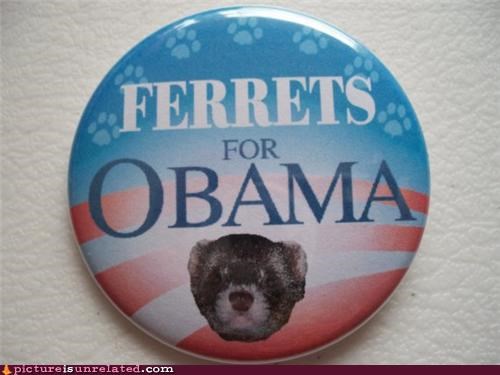 Because Ferrets Love Politics