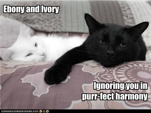 Ebony and Ivory