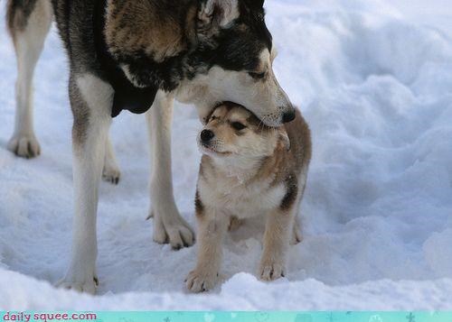 Squee Spree: Stop That. Now.