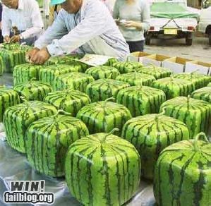 Square Watermelon WIN