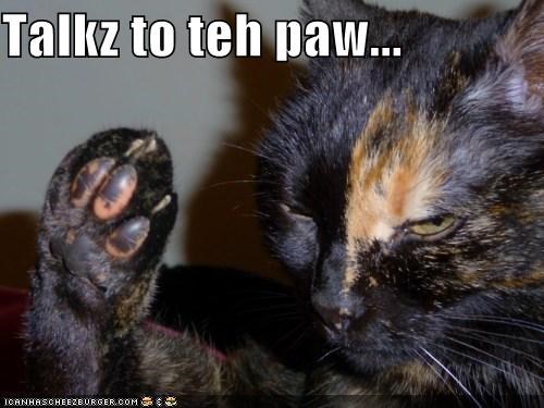 Talkz to teh paw...