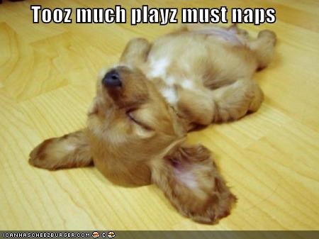 Tooz much playz must naps