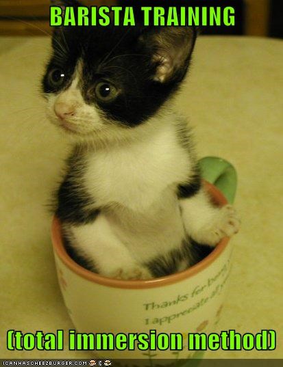 BARISTA TRAINING     (total immersion method)
