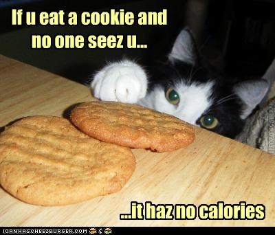 Kittehz Wurdz uv Wizdum