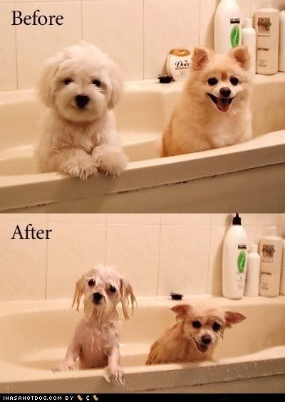 Before and After