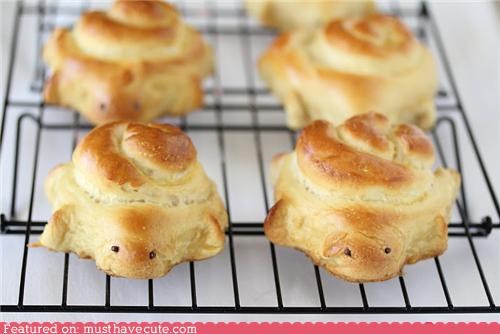 Epicute: Turtle Buns