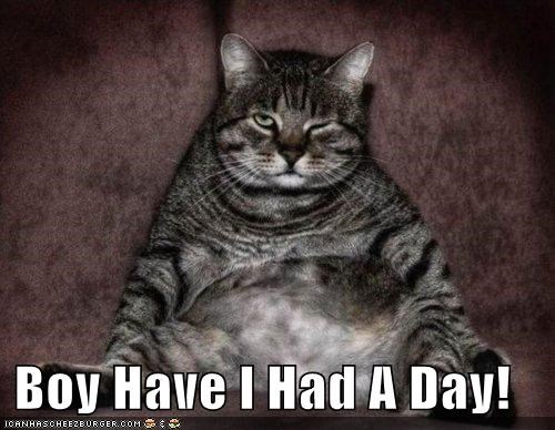 Boy Have I Had A Day!