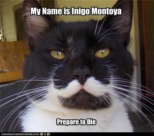 My Name is Inigo Montoya
