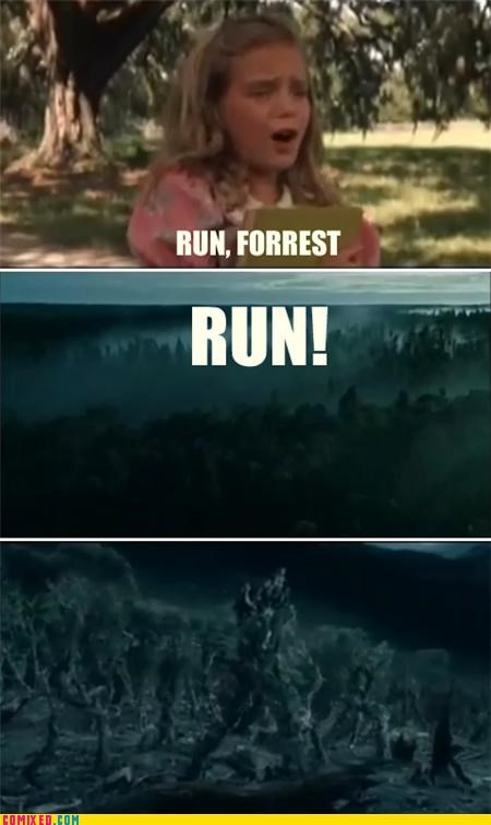 What Really Happened