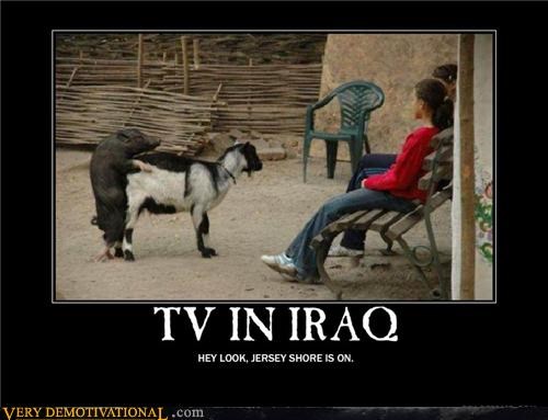 TV IN IRAQ