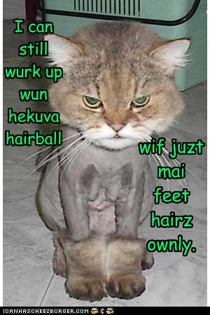 I can still wurk up wun hekuva hairball