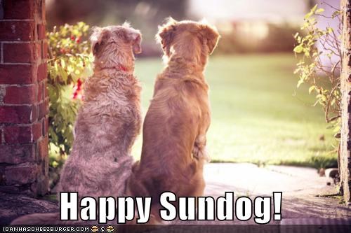 Happy Sundog!
