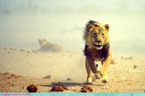 Acting Like Animals: G FORCES!!!!