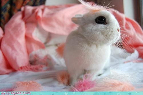 Happy Bunday!