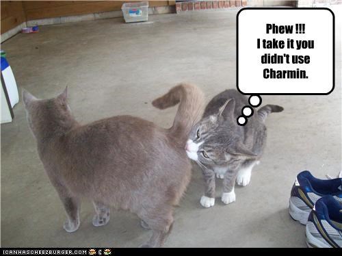Phew !!! I take it you didn't use Charmin.