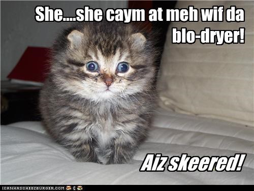 She....she caym at meh wif da blo-dryer!