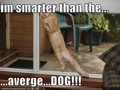 im smarter than the...  ...averge...DOG!!!