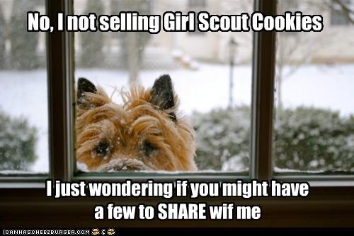 No, I not selling Girl Scout Cookies