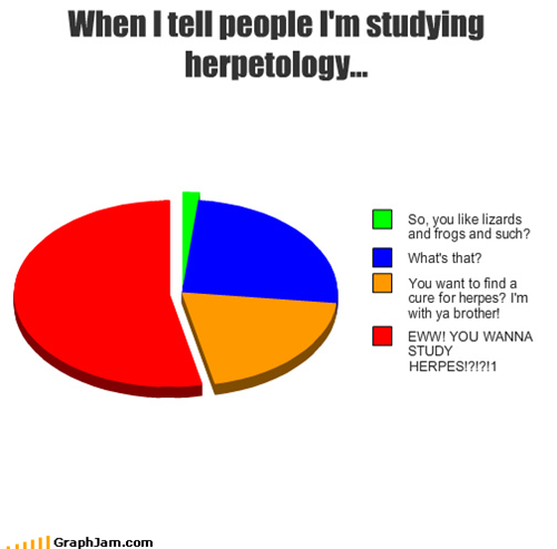 Much Better Than Derpetology