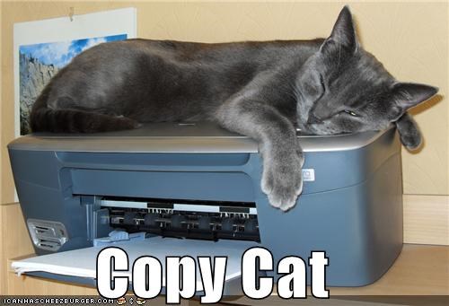 Copy Cat