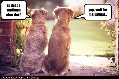 is dat da mailman ober der?