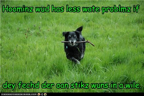 Wurd frum teh wize.
