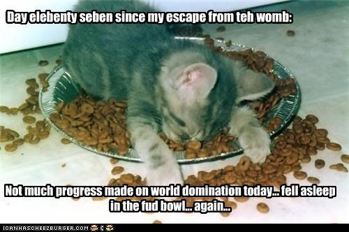 Day elebenty seben since my escape from teh womb: