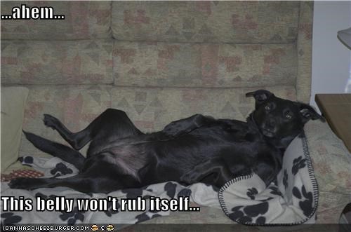 ...ahem...  This belly won't rub itself...