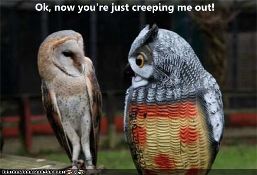 Ok, now you're just creeping me out!