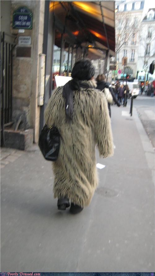 What Did You Do To Chewie!?