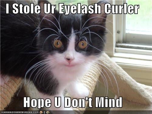 I Stole Ur Eyelash Curler  Hope U Don't Mind