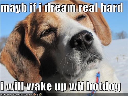mayb if i dream real hard  i will wake up wif hotdog