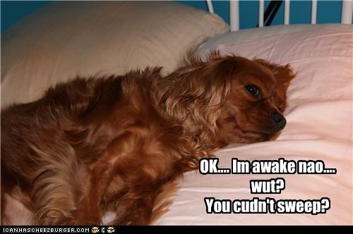 wake me up tu tell me u not asleep