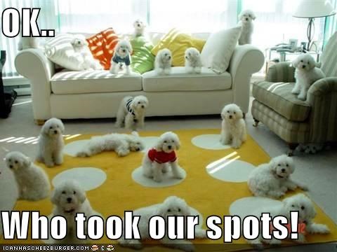 OK..  Who took our spots!