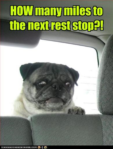 HOW many miles to the next rest stop?!