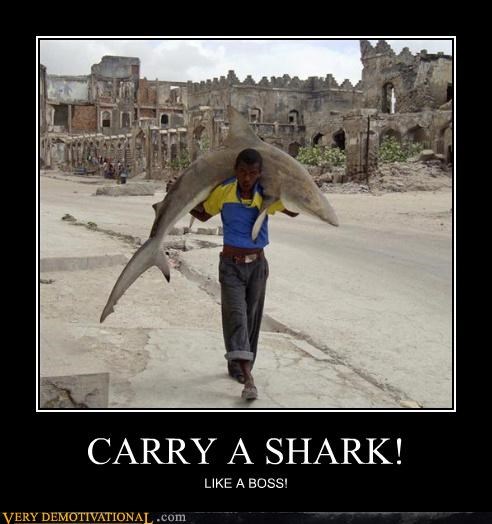 CARRY A SHARK!